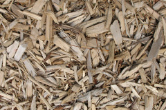 biomass boilers Timberhonger