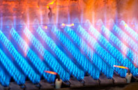 Timberhonger gas fired boilers
